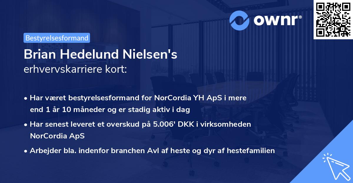 Brian Hedelund Nielsen's erhvervskarriere kort