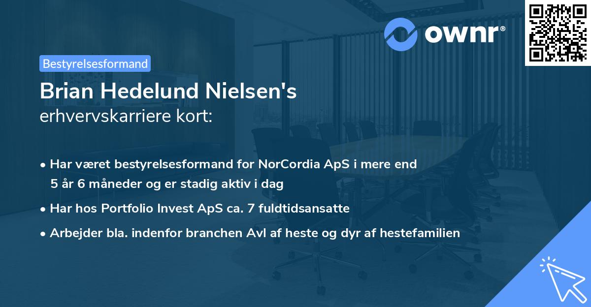 Brian Hedelund Nielsen's erhvervskarriere kort