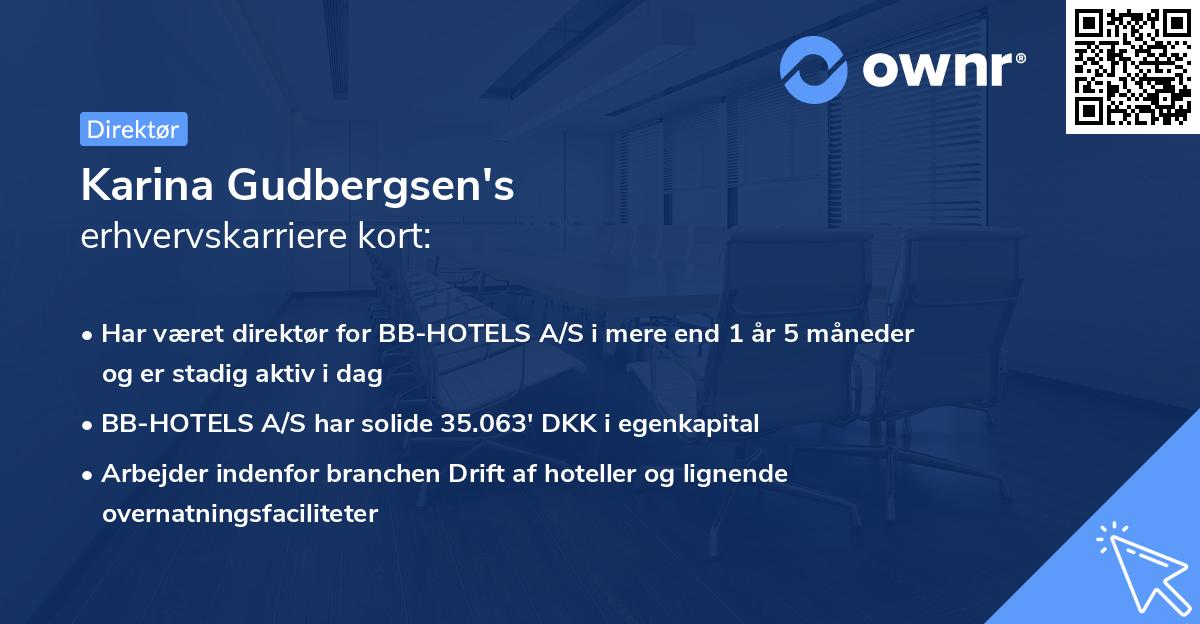 Karina Gudbergsen's erhvervskarriere kort