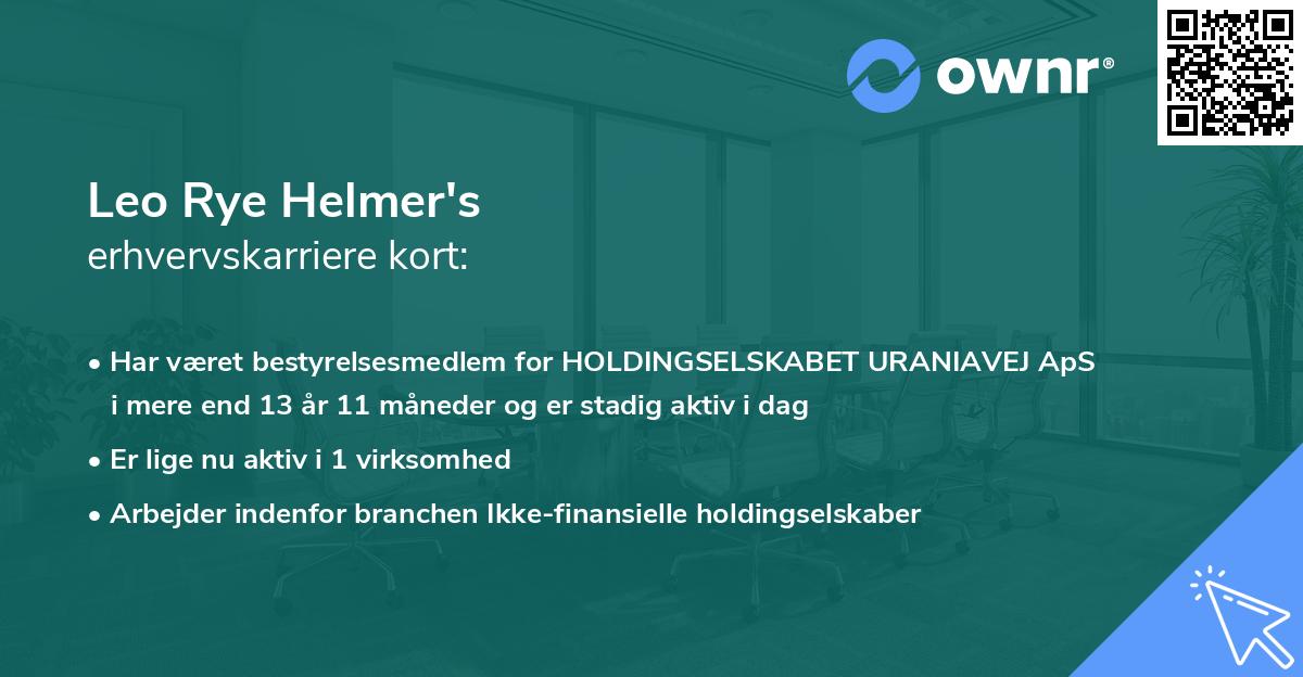 Leo Rye Helmer's erhvervskarriere kort