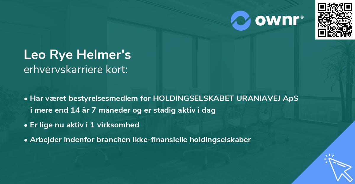 Leo Rye Helmer's erhvervskarriere kort