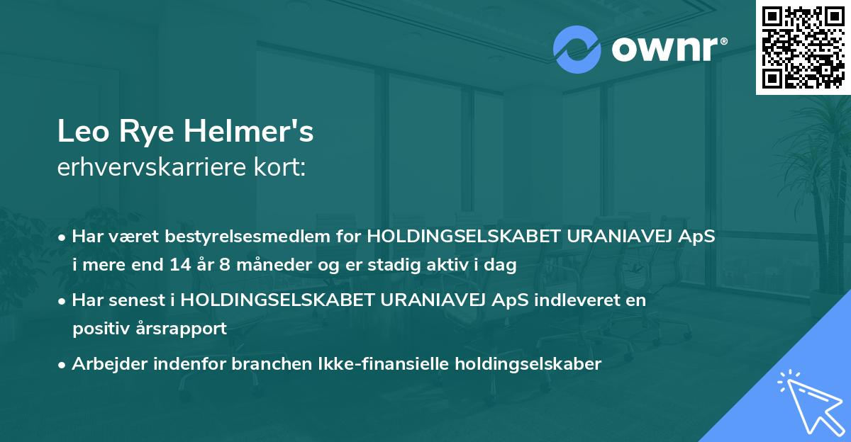 Leo Rye Helmer's erhvervskarriere kort