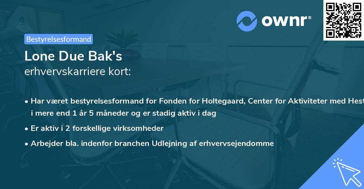 Lone Due Bak's erhvervskarriere kort