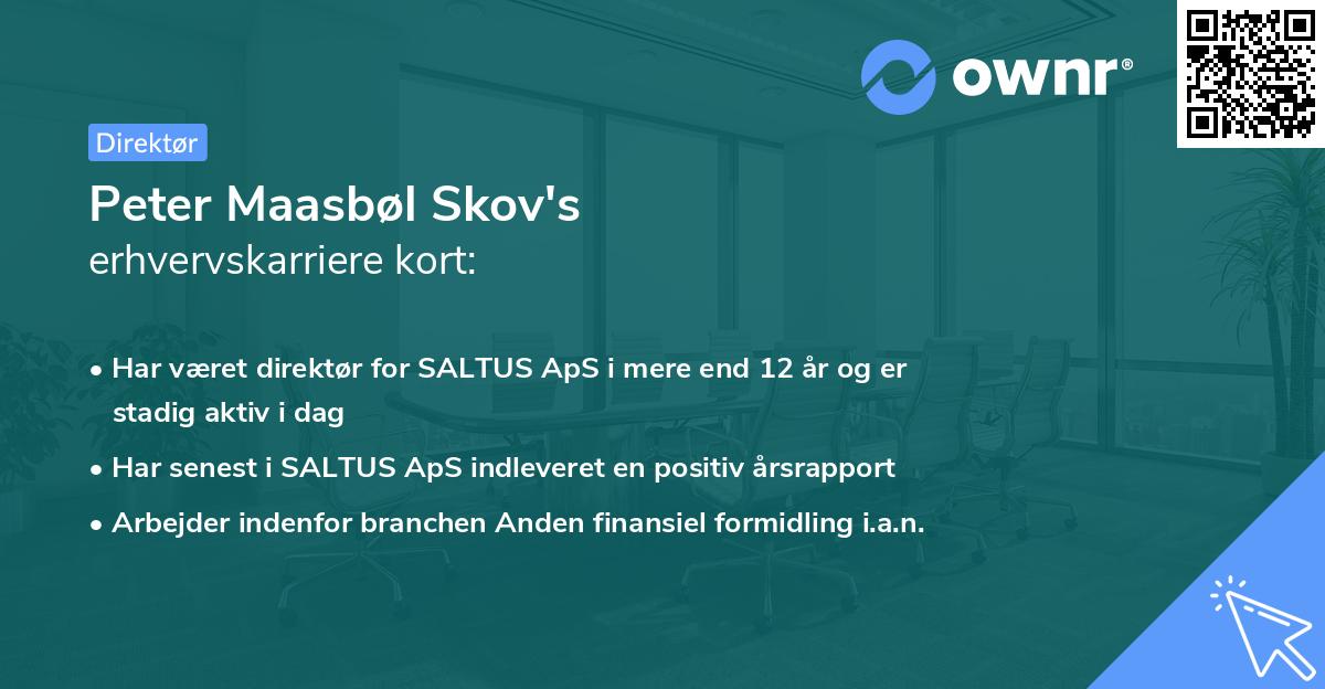 Peter Maasbøl Skov's erhvervskarriere kort