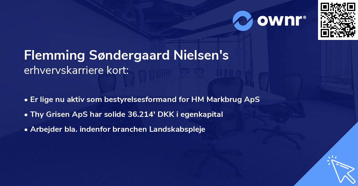 Flemming Søndergaard Nielsen's erhvervskarriere kort