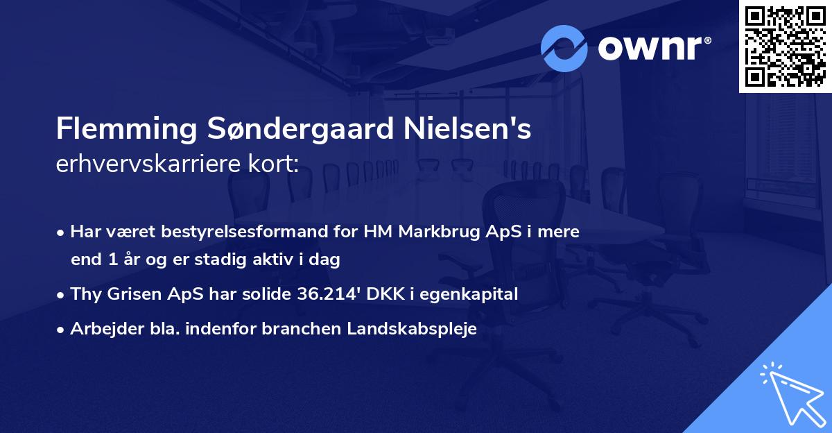 Flemming Søndergaard Nielsen's erhvervskarriere kort