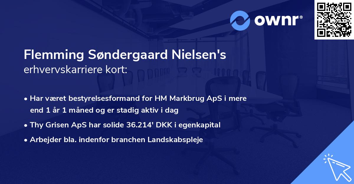 Flemming Søndergaard Nielsen's erhvervskarriere kort