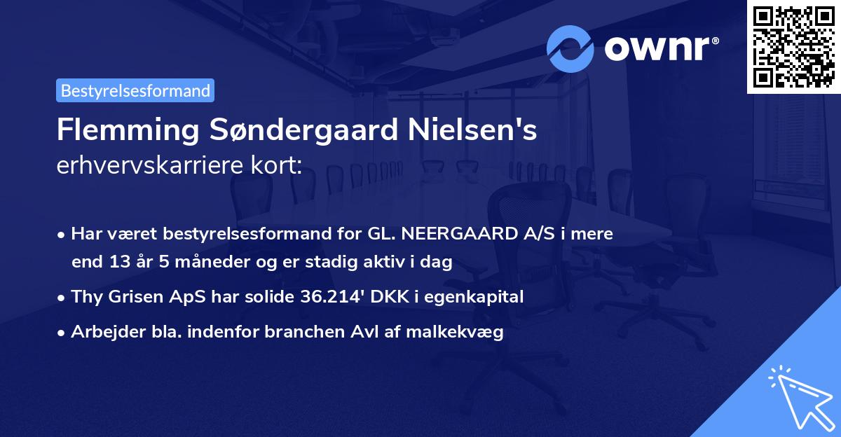 Flemming Søndergaard Nielsen's erhvervskarriere kort