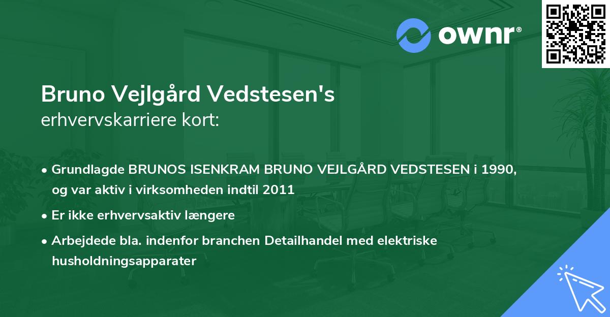 Bruno Vejlgård Vedstesen's erhvervskarriere kort