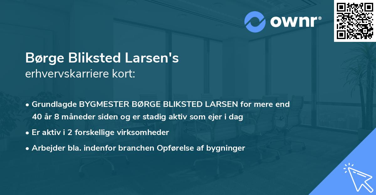 Børge Bliksted Larsen's erhvervskarriere kort