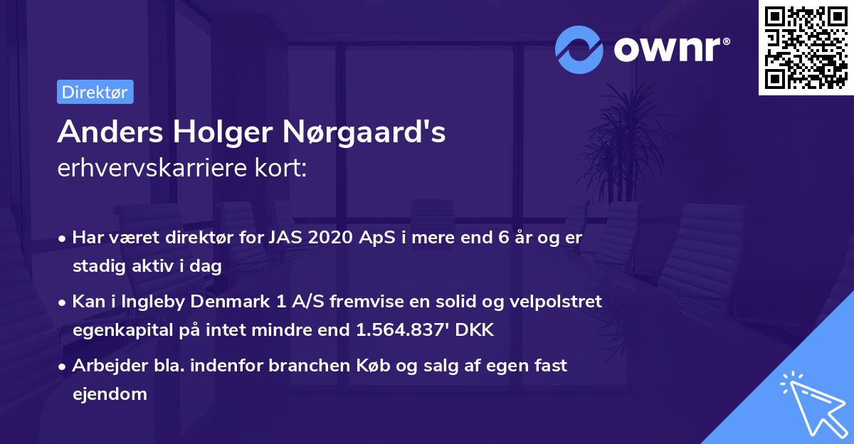 Anders Holger Nørgaard's erhvervskarriere kort