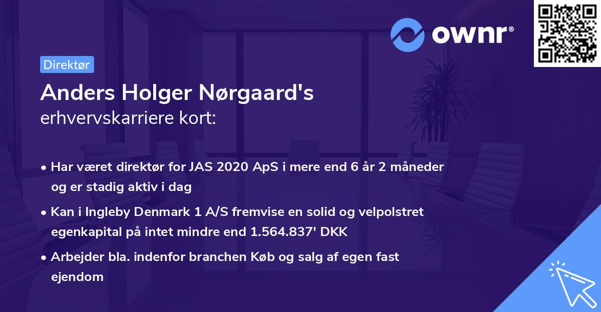 Anders Holger Nørgaard's erhvervskarriere kort