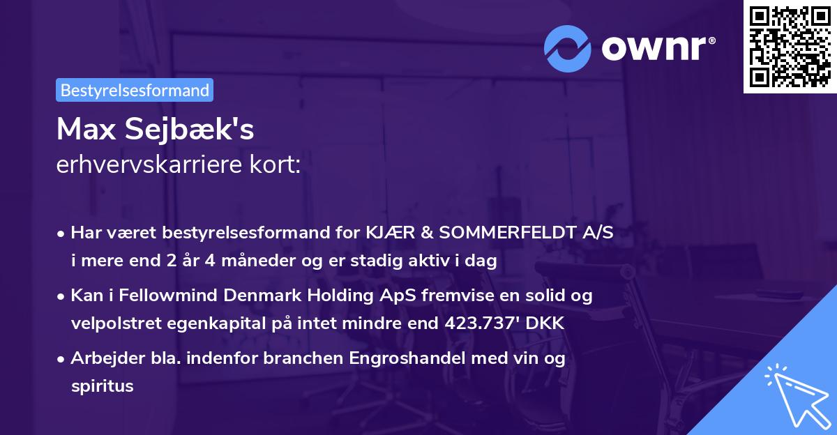 Max Sejbæk's erhvervskarriere kort