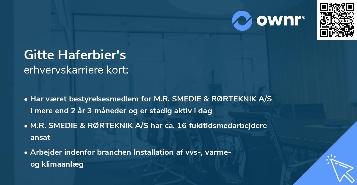 Gitte Haferbier's erhvervskarriere kort