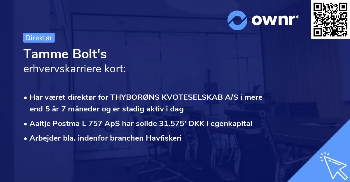 Tamme Bolt's erhvervskarriere kort