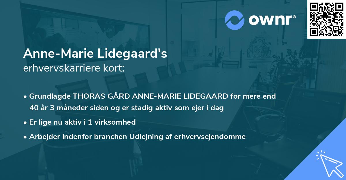 Anne-Marie Lidegaard's erhvervskarriere kort