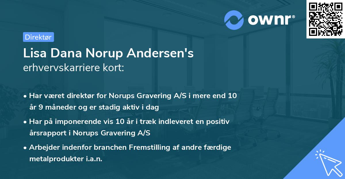 Lisa Dana Norup Andersen's erhvervskarriere kort