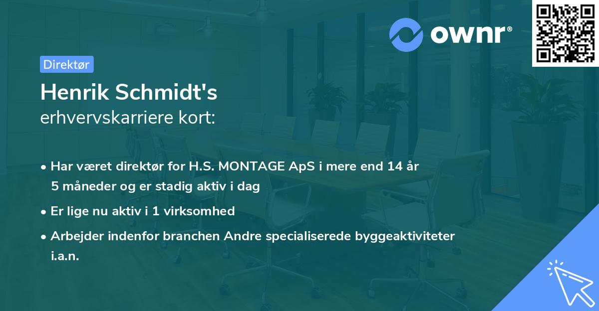 Henrik Schmidt's erhvervskarriere kort