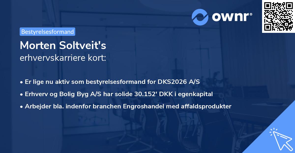 Morten Soltveit's erhvervskarriere kort