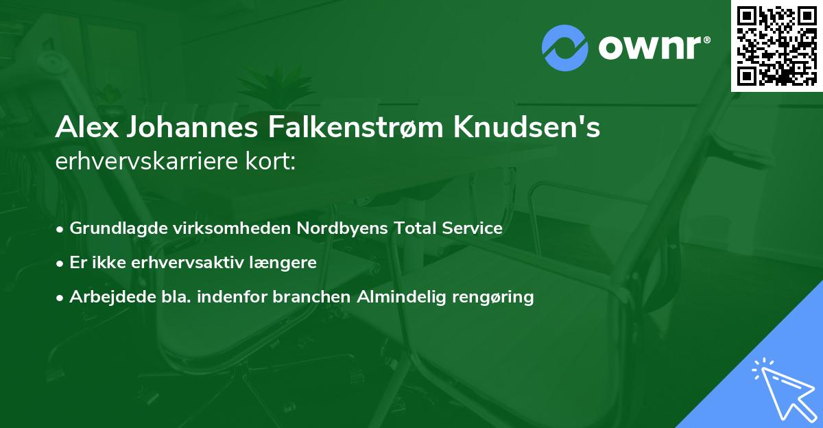 Alex Johannes Falkenstrøm Knudsen's erhvervskarriere kort