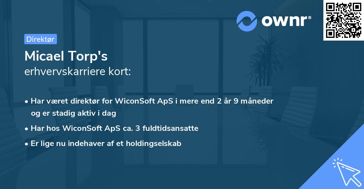 Micael Torp's erhvervskarriere kort