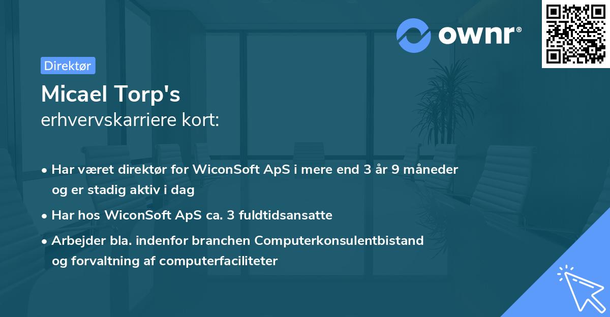 Micael Torp's erhvervskarriere kort