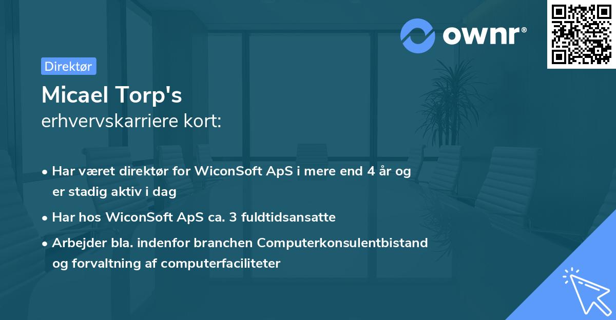 Micael Torp's erhvervskarriere kort