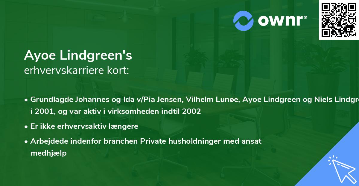 Ayoe Lindgreen's erhvervskarriere kort