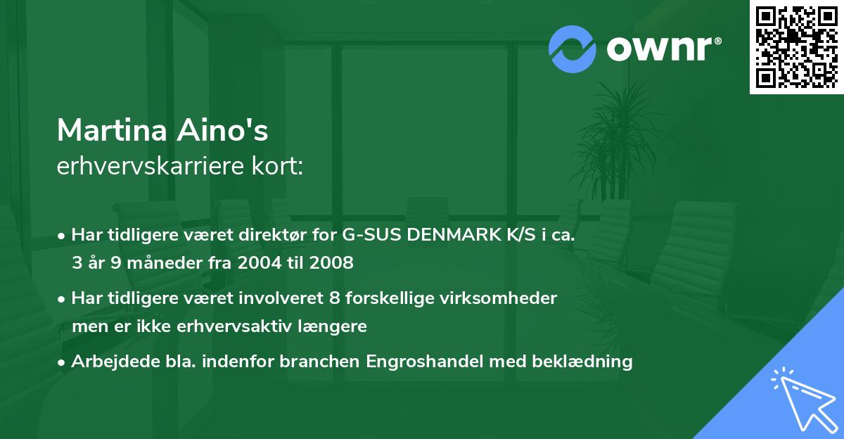Martina Aino's erhvervskarriere kort