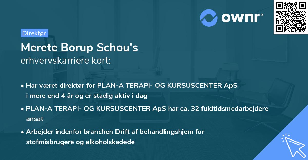 Merete Borup Schou's erhvervskarriere kort