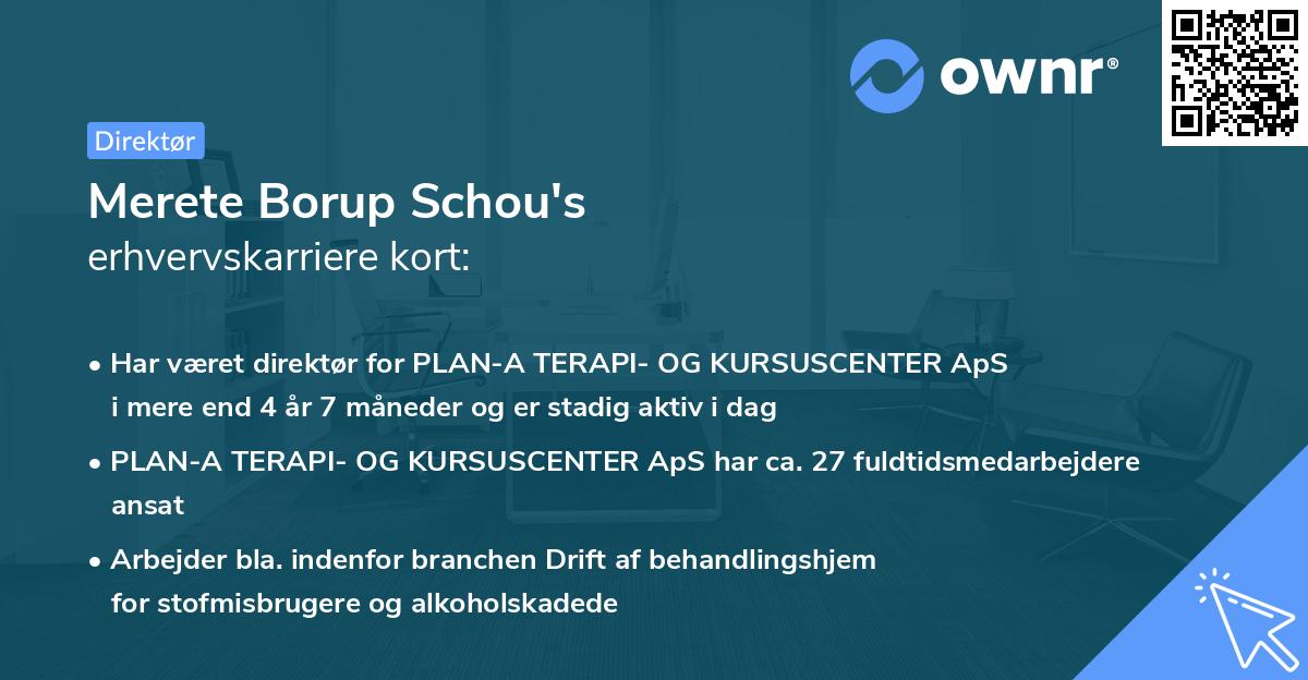 Merete Borup Schou's erhvervskarriere kort