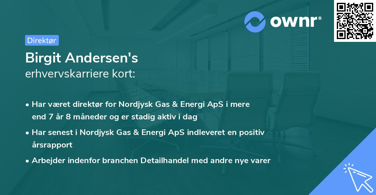 Birgit Andersen's erhvervskarriere kort