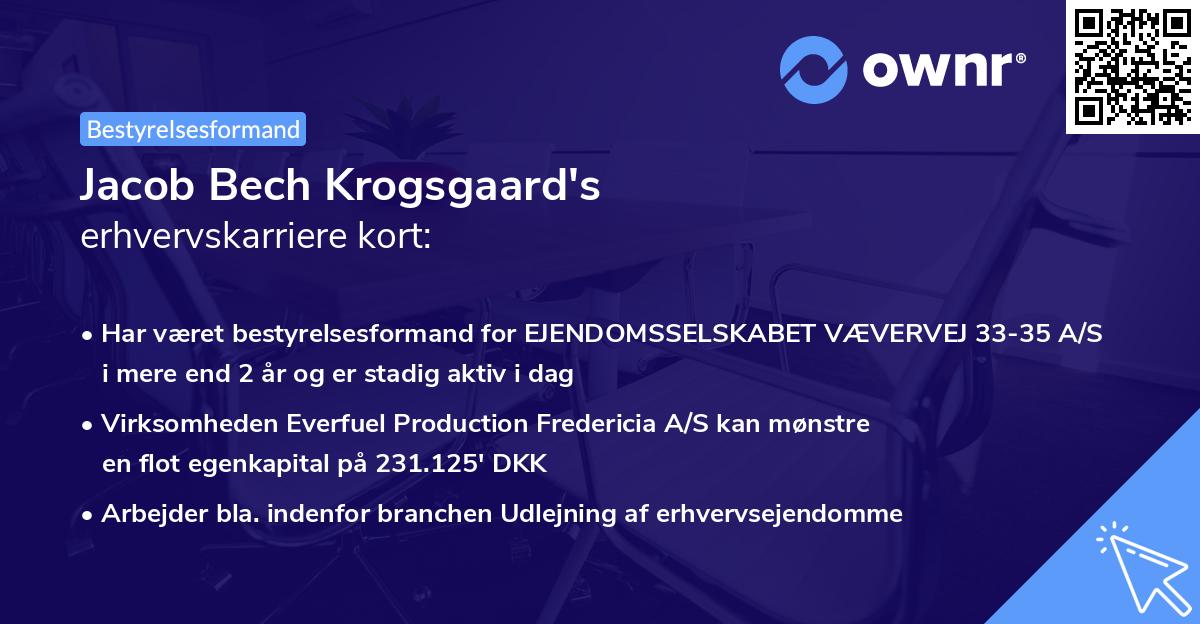 Jacob Bech Krogsgaard's erhvervskarriere kort