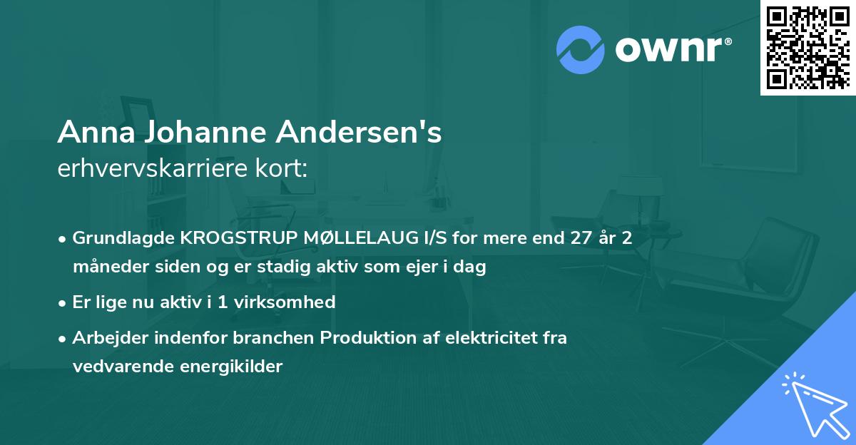 Anna Johanne Andersen's erhvervskarriere kort