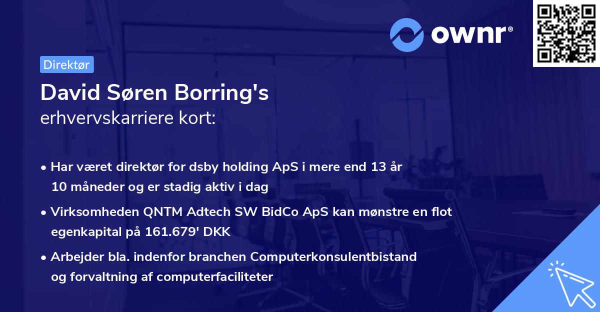 David Søren Borring's erhvervskarriere kort