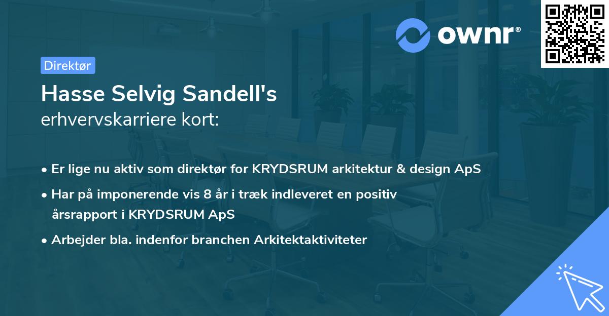 Hasse Selvig Sandell's erhvervskarriere kort