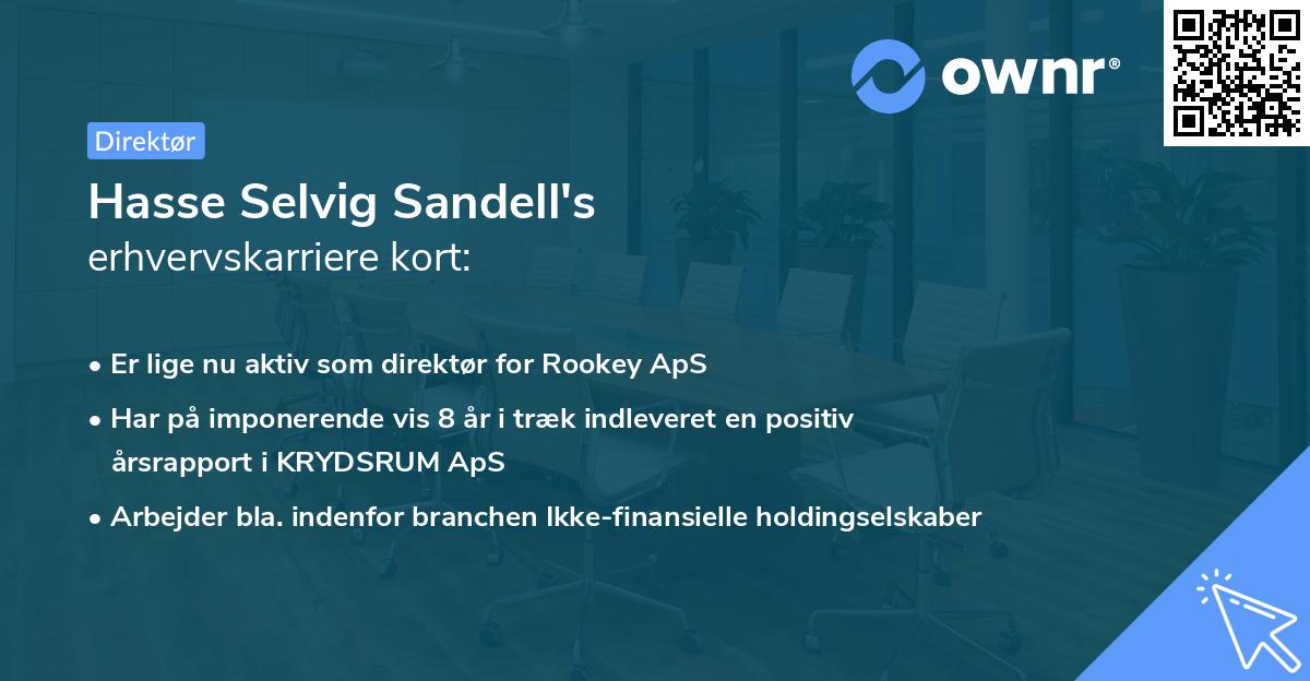 Hasse Selvig Sandell's erhvervskarriere kort