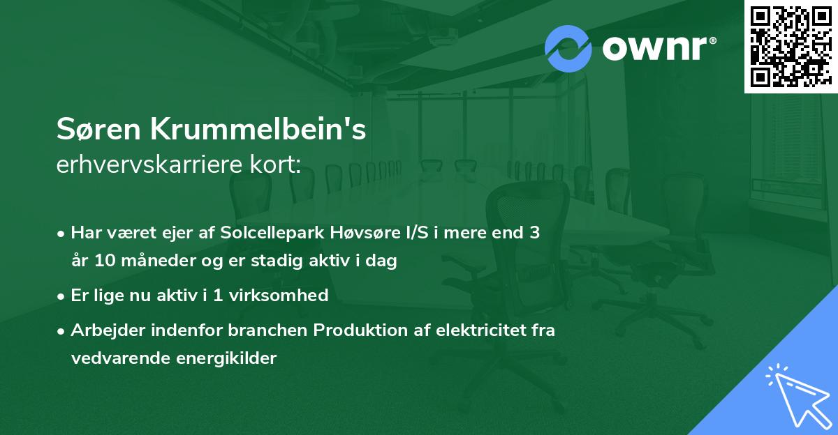 Søren Krummelbein's erhvervskarriere kort