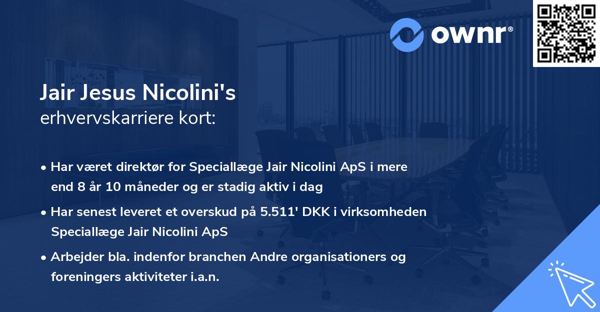 Jair Jesus Nicolini's erhvervskarriere kort