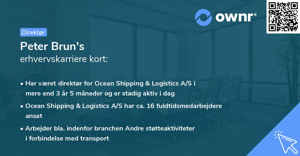 Peter Brun's erhvervskarriere kort