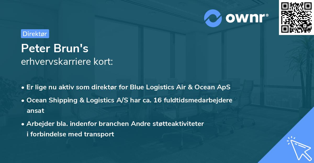 Peter Brun's erhvervskarriere kort
