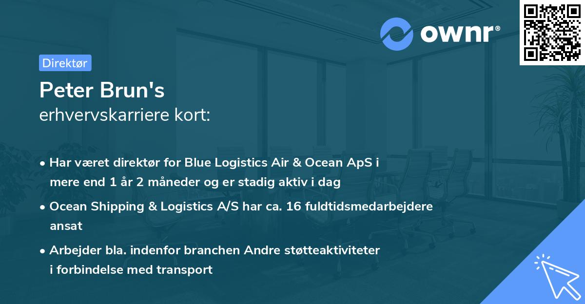 Peter Brun's erhvervskarriere kort