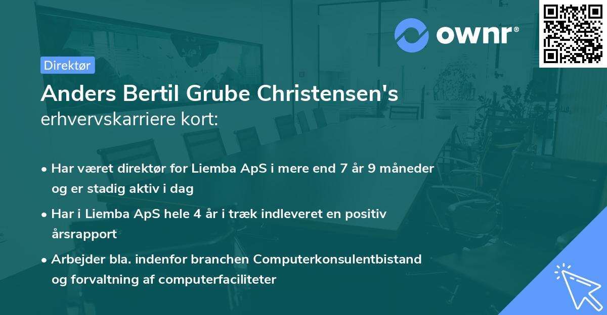 Anders Bertil Grube Christensen's erhvervskarriere kort