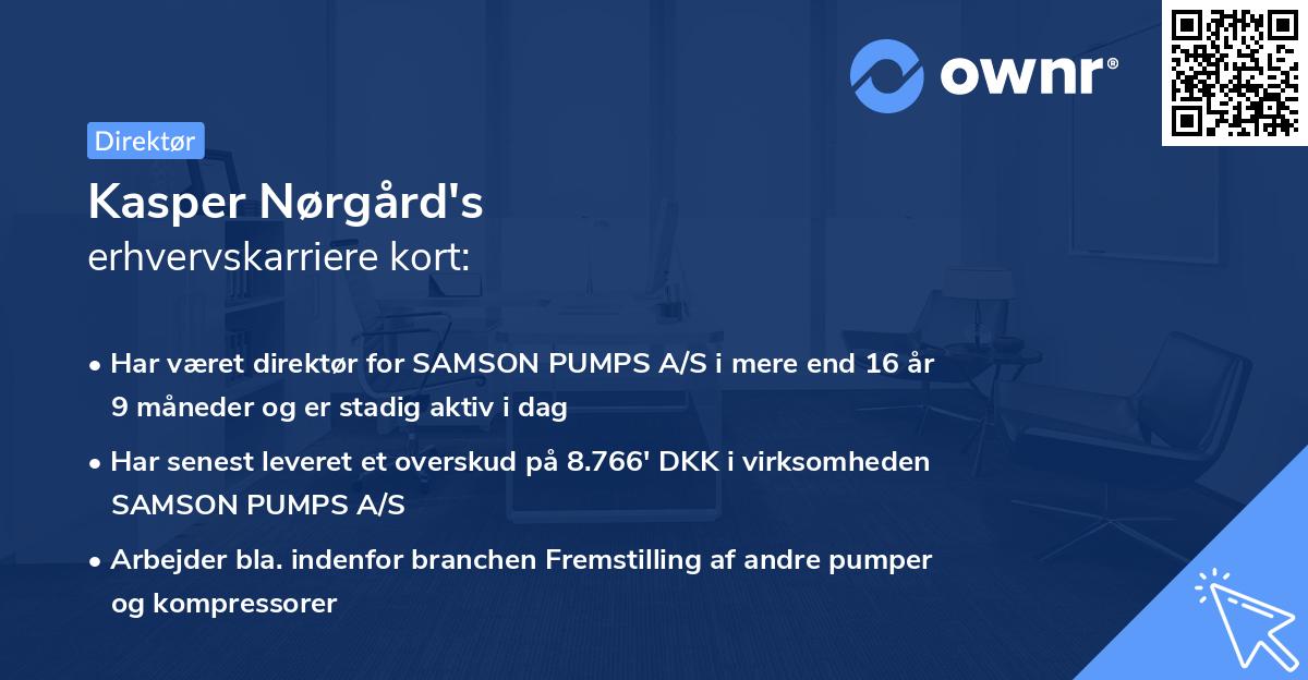 Kasper Nørgård's erhvervskarriere kort