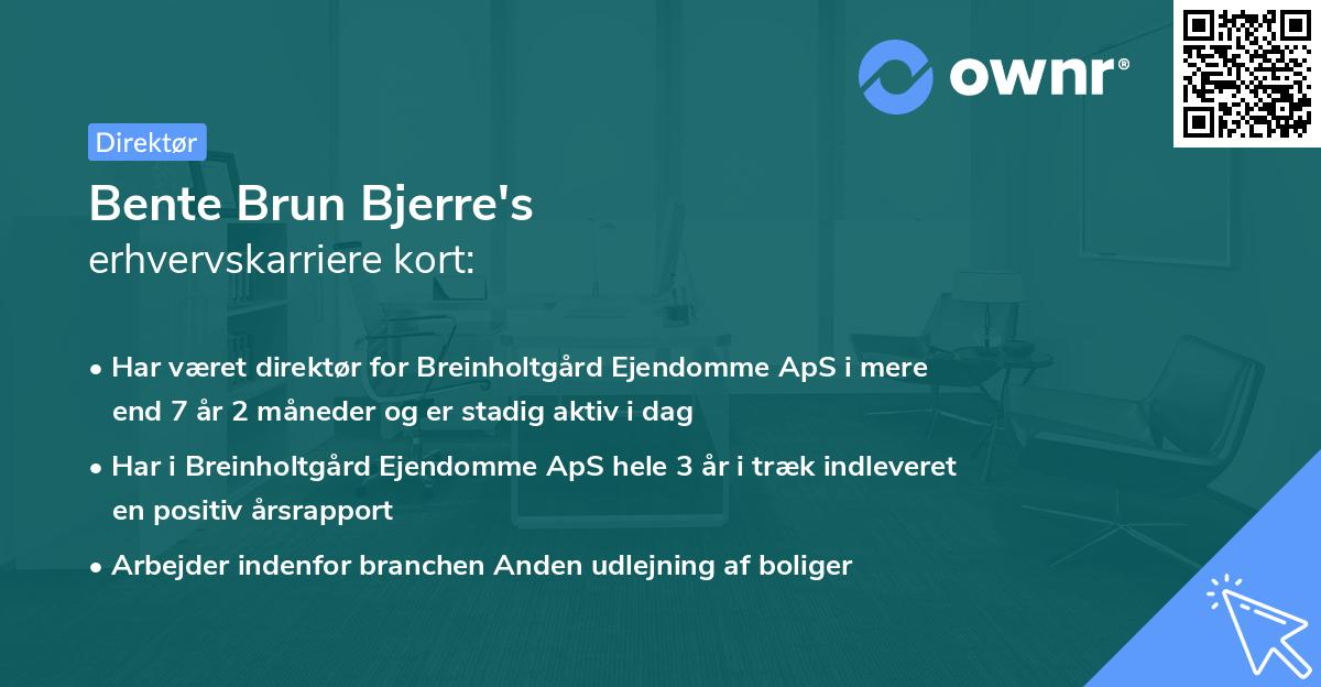 Bente Brun Bjerre's erhvervskarriere kort