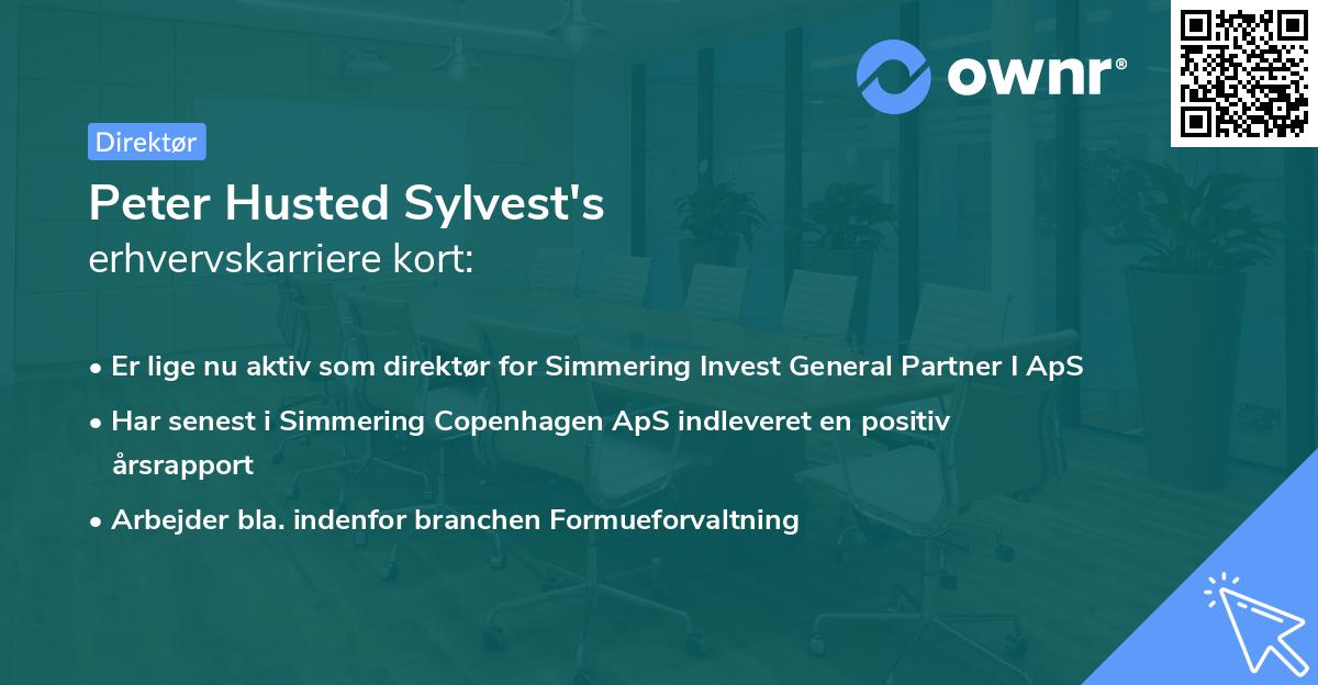 Peter Husted Sylvest's erhvervskarriere kort