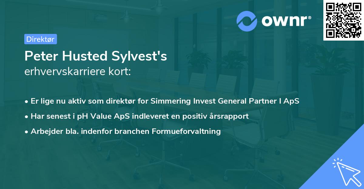 Peter Husted Sylvest's erhvervskarriere kort
