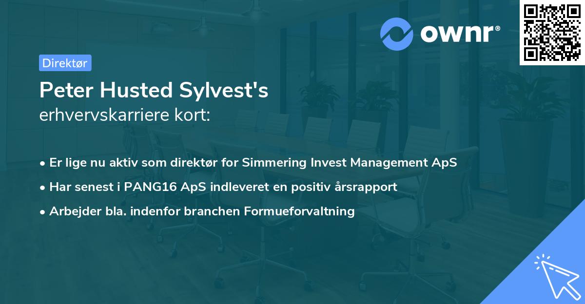 Peter Husted Sylvest's erhvervskarriere kort