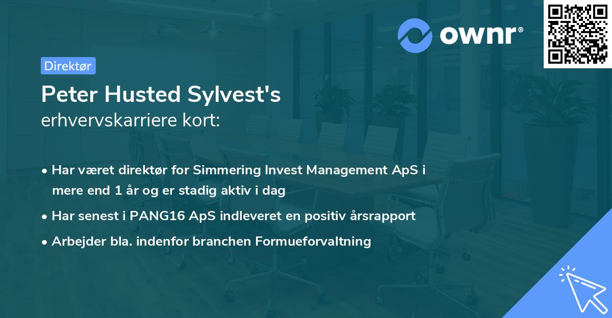 Peter Husted Sylvest's erhvervskarriere kort