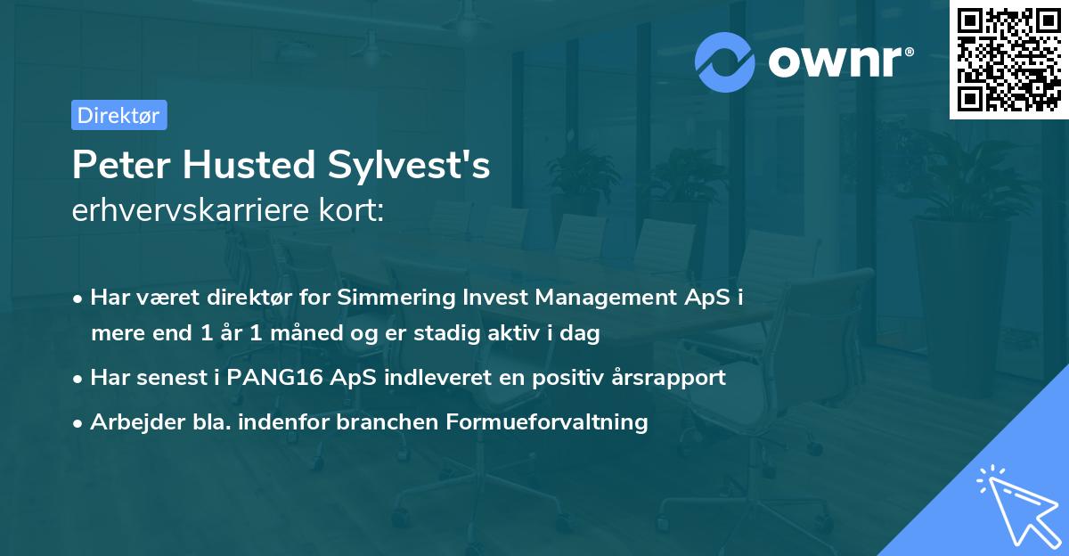 Peter Husted Sylvest's erhvervskarriere kort